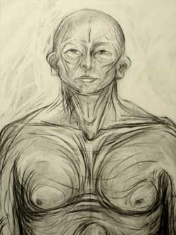 Study in Pencil